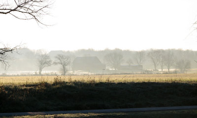 Visions in the mist on a cold morning
