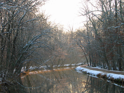 Sunlight on the trees in the distance