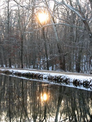 A reflection through the trees