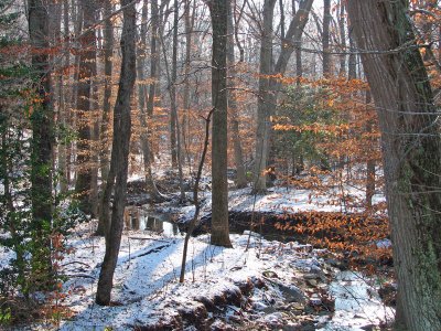 The stream