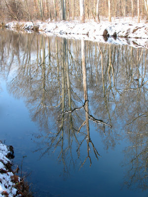 Still waters and perfect reflections