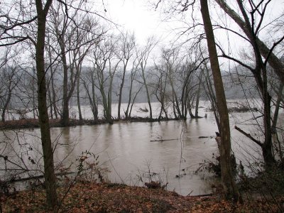 River swollen from the rainfall