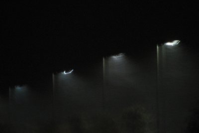 Lampposts in the blowing snow