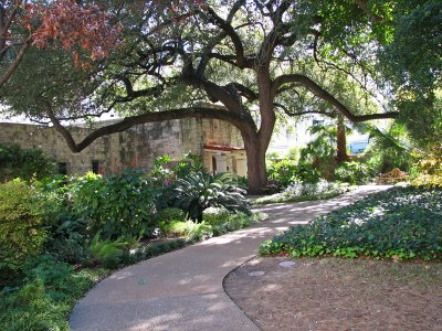 A garden within the Alamo