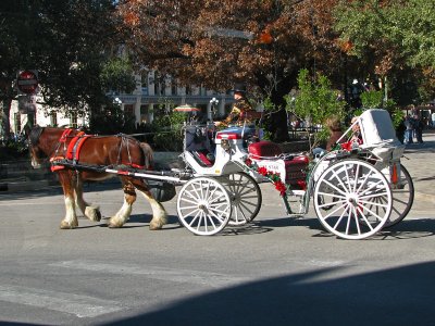 Carriage rides