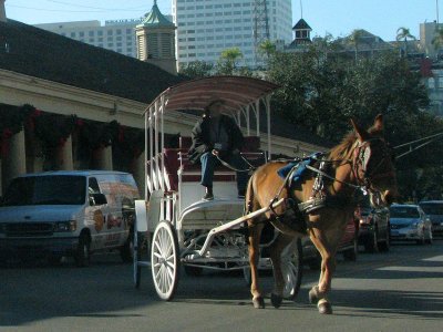 A horse-drawn carriage