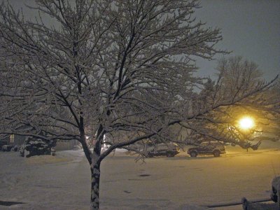 Feb 2nd winter night scene