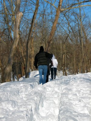 Deep tracks in the snow