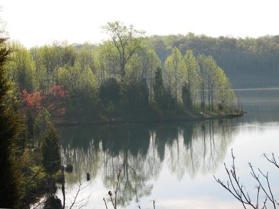 Morning on the lake