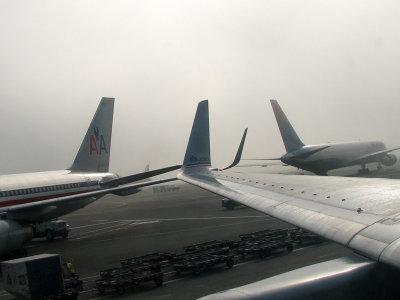 Tails and winglets