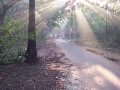 IIT Madras