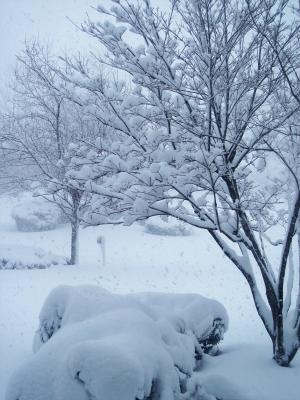 The disappearing mailbox