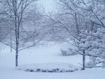 Whiteout in the cul-de-sac