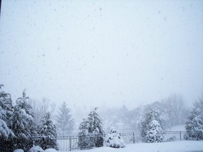 The snow falls steadily