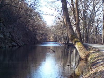 North of the Power Plant