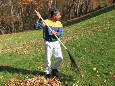 The dance of the rake