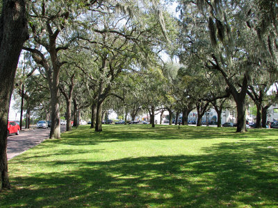 Surrounded by Oak trees