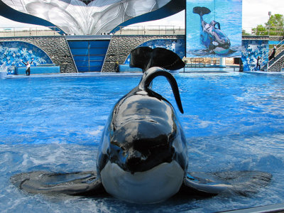 Shamu up front and center