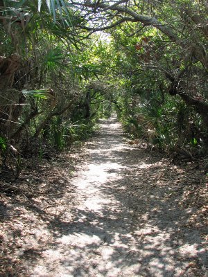 Path to Mosquito Lagoon