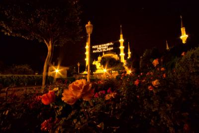 Blue Mosque
