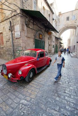 Red beetle - Jerusalem
