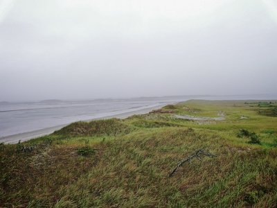 009.jpg