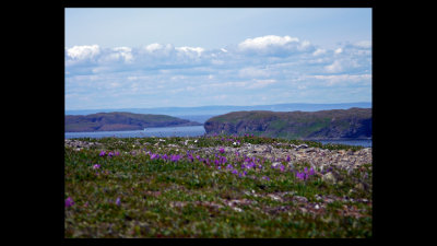 Newfoundland - L'Anse aux Meadows