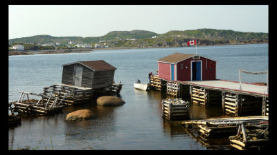 Newfoundland - Twillingate