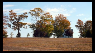 Colors of Fall