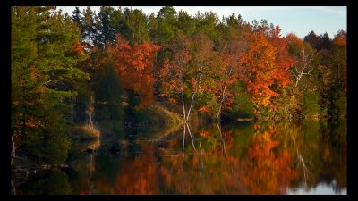 Colors of Fall