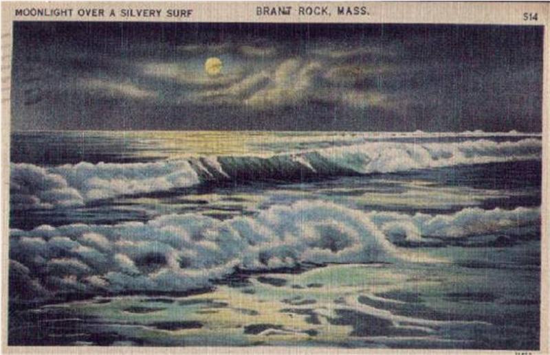 Moonlight Surf