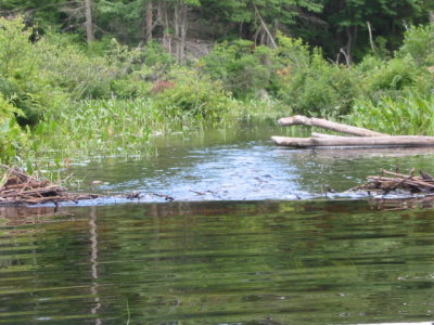 Second Beaver Dam