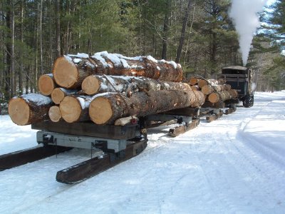 Steam engine w/tracks hauling logs 3-6-09
