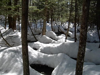 Wet land water pools highlighted by the snow