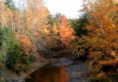 Fall by the brook on  the old farm last fall