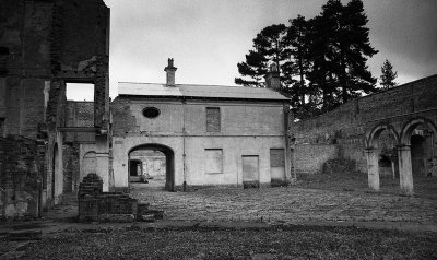 Old Stables 2009