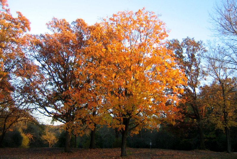 october fires will always fuel my heart...