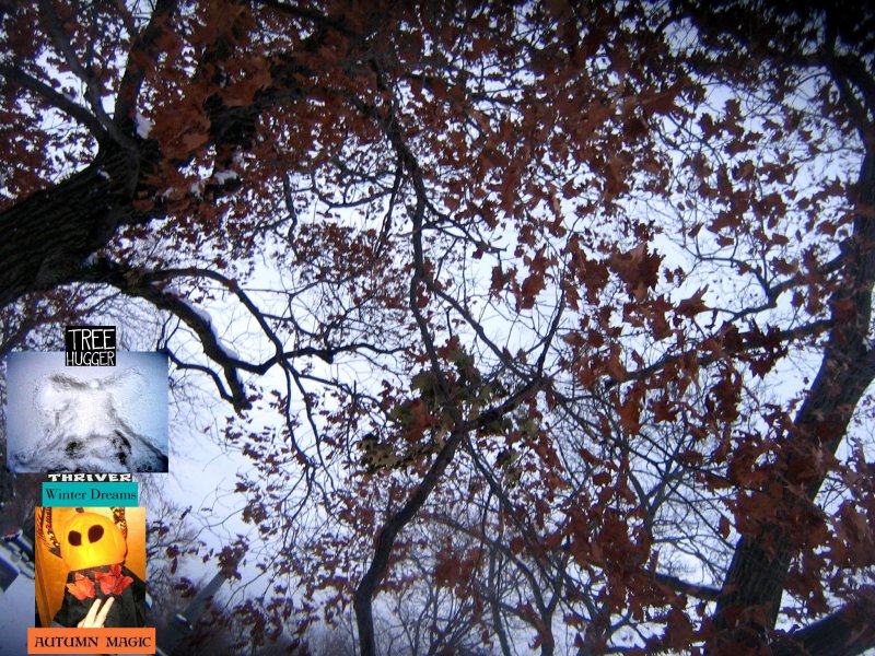 IMG_2564.JPG...december 15..still officially ahhhhsome autumn...