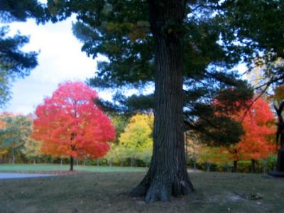 Magic in autumn's awe walk o'life...