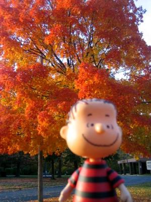 Linus loves fall in Chitown! : )