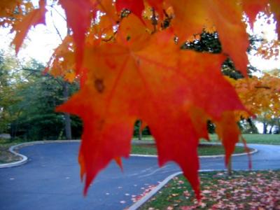 Blazing sights and sites with Fall Vision Eyecare : )