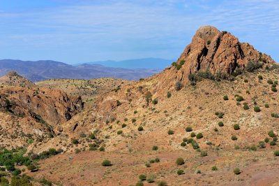 DSC_0104R900.jpg
