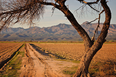 DSC_3193R900.jpg