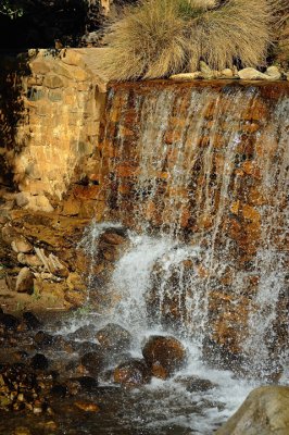DSC_3674R720.jpg