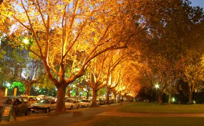 St Kilda Road Melbourne at Night