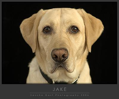 Jake.jpg