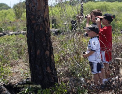 The Boys With Binoculars 01.jpg