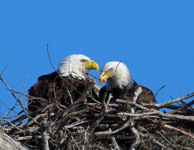Mom and Dad.jpg