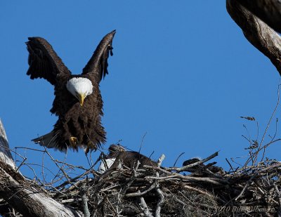 Mom Landing.jpg