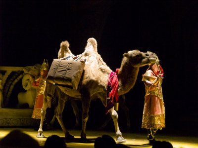 Dancers with Camel